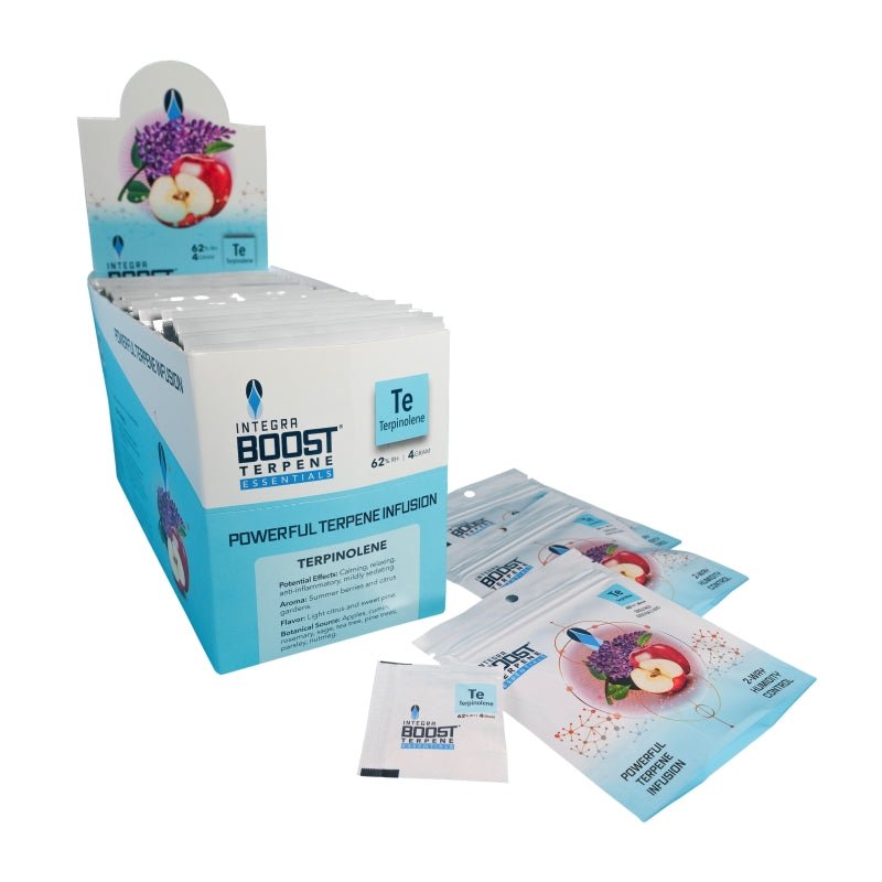 Pieni valkoinen Integra Boost 62% kosteussäätöpussi, jossa on vihreä logo ja teksti "Terpinolene", asetettuna kuivattujen yrttien tai kukkien viereen lasipurkissa.