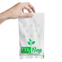 Co2Bag hiilidioksidi pussi
