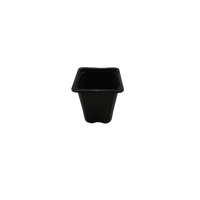 Musta neliönmuotoinen taimiruukku 7x7x8 cm (0,23 L), jossa pohjassa reikiä tehokkaaseen vedenpoistoon, valmiina siementen istutukseen.