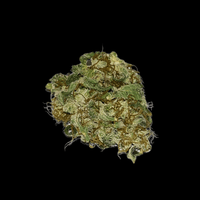 Amnesia CBD kukka 4% / CBG Kukinto 15% / THC 0% - Kaninkolo - CBD - kauppasi Suomessa - Kukinnot