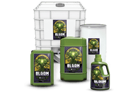 Emerald Harvest 3 - part Bloom - Kaninkolo - Emerald harvest
