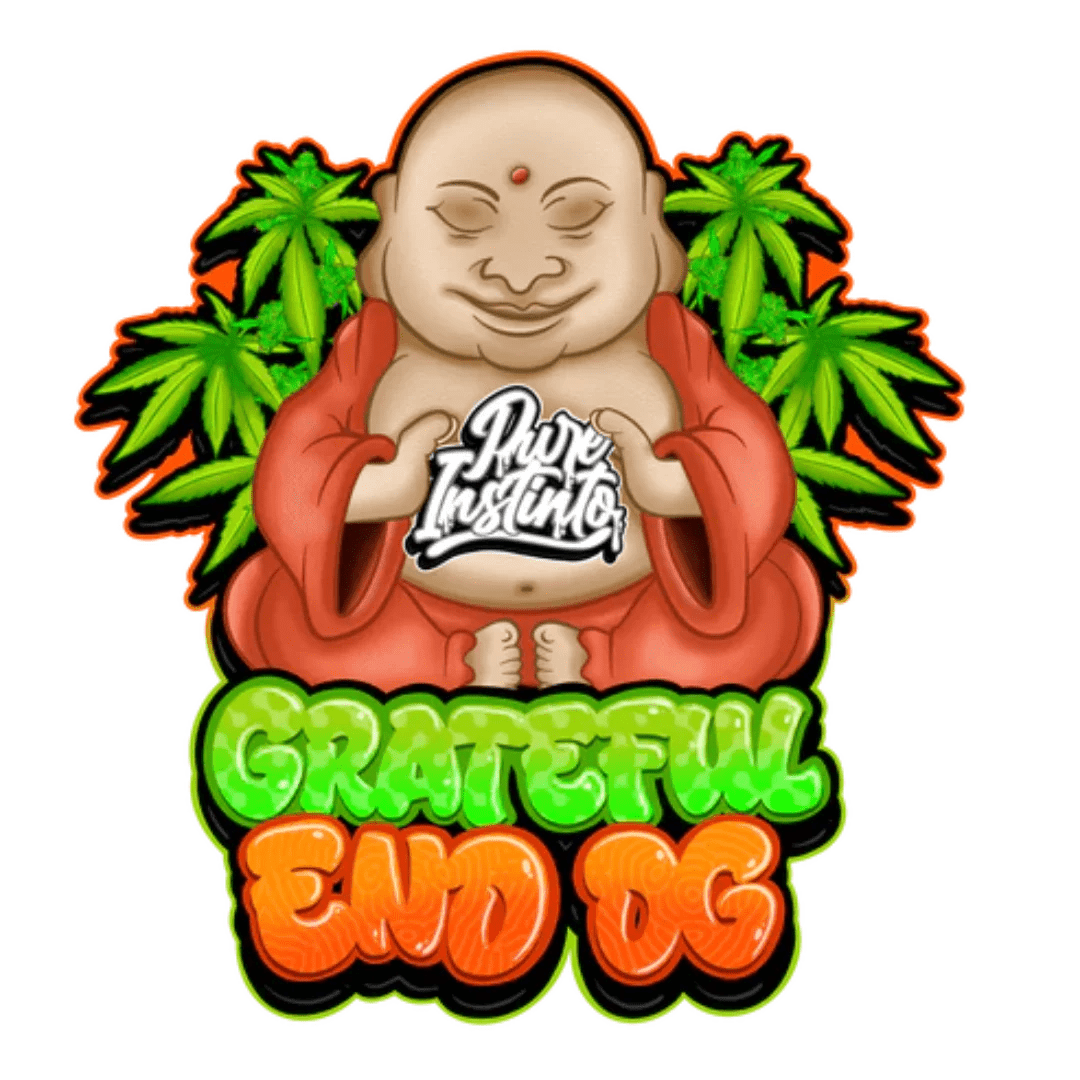 Grateful End OG Pure Instinto -siementen pakkaus, jossa näkyy laatumerkki ja lajikekuvaus. Ihanteellinen kokoelmiin ja tutkimukseen.