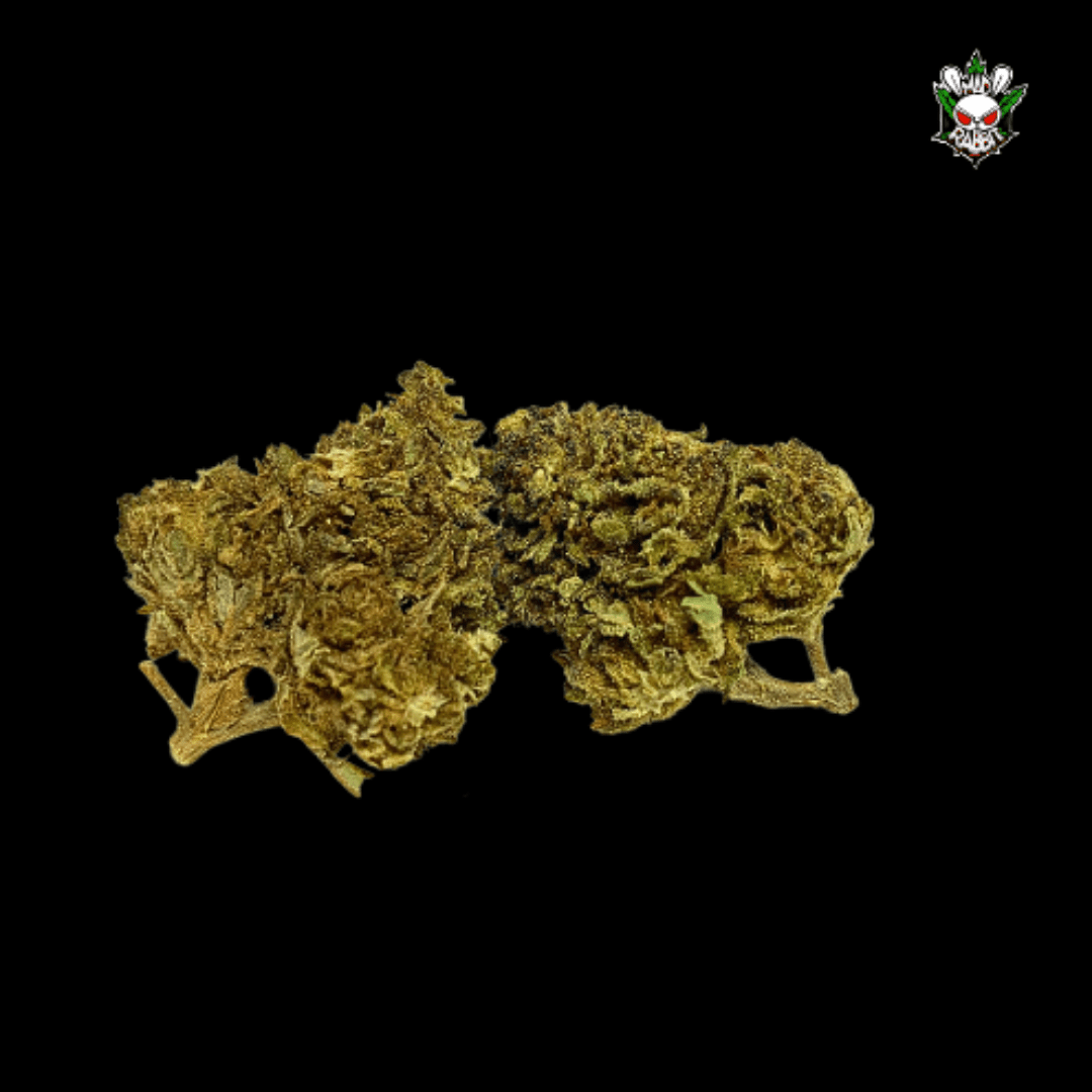 Lähikuva Green Lynx CBD kukasta, jossa on elinvoimaisen vihreitä nuppuja ja hienoja oranssinpunaisia karvoja.