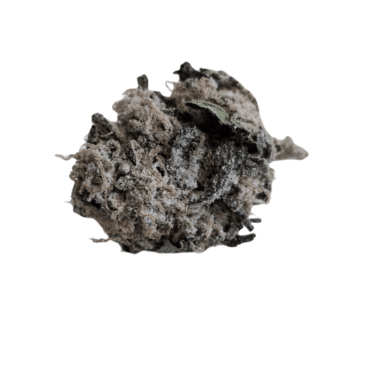 Hampputuoksu Snow White CBG - Kukinto THC 0% Luonnolliset terpeenit + CBD 34% - Kaninkolo - Kukinnot