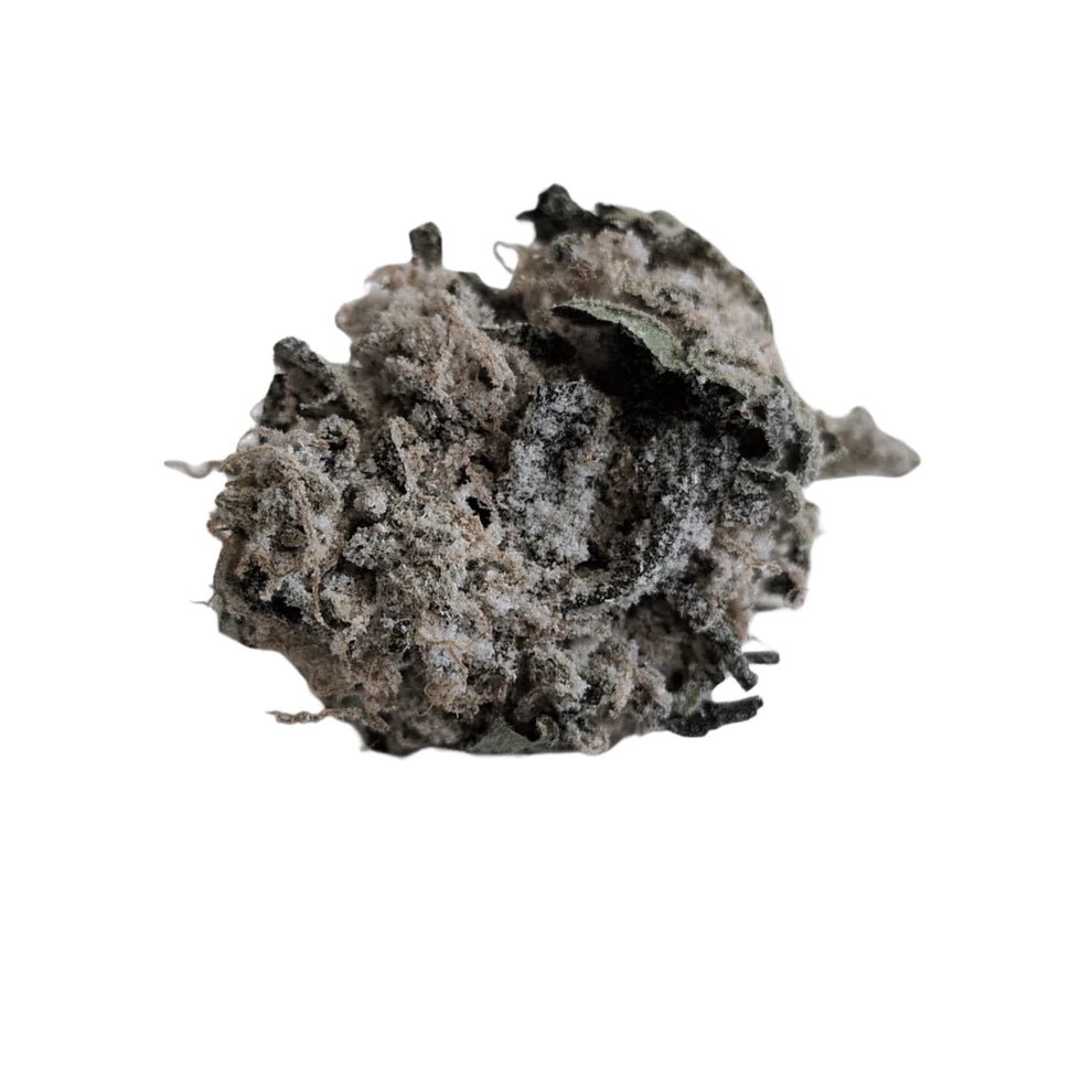 Hampputuoksu Zkittlez CBG - Kukinto THC 0% Luonnolliset terpeenit + CBD 34% - Kaninkolo - 
