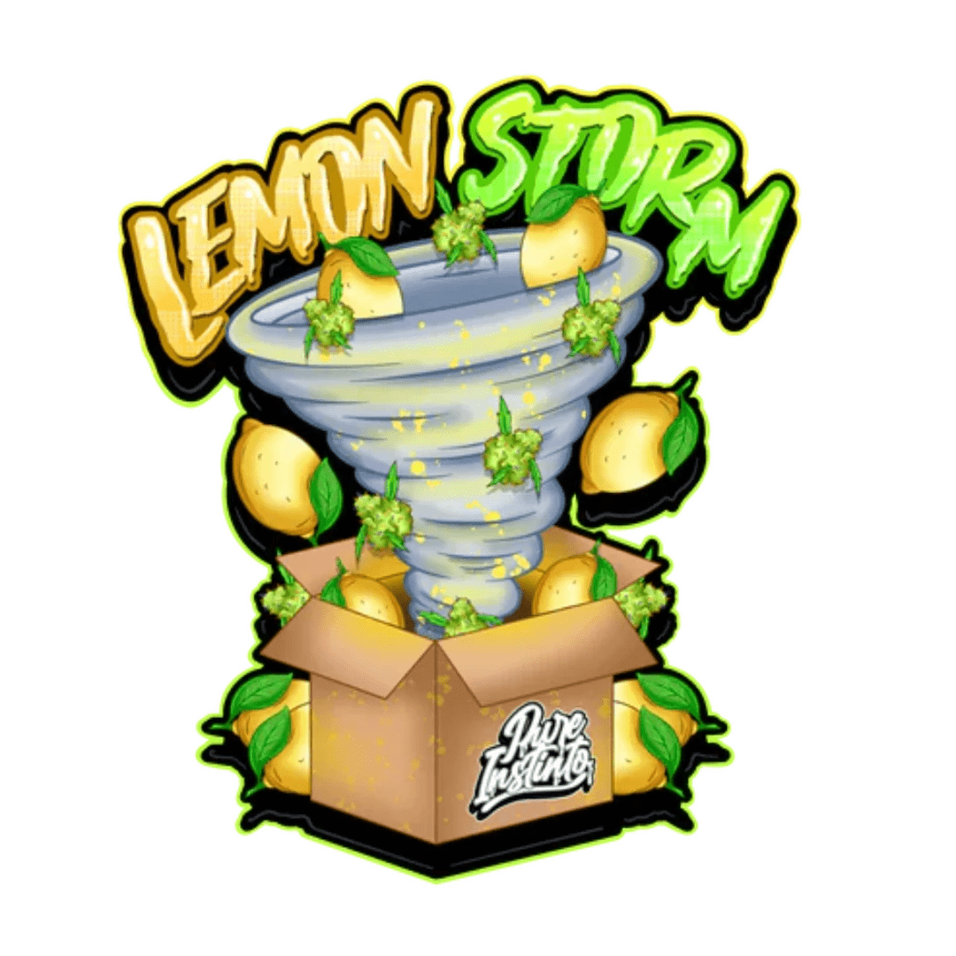 Kuva Pure Instinto Lemon Storm -siemenpakkauksesta, jossa on sitruunateema ja laatua viittaava logo kirkkailla väreillä.