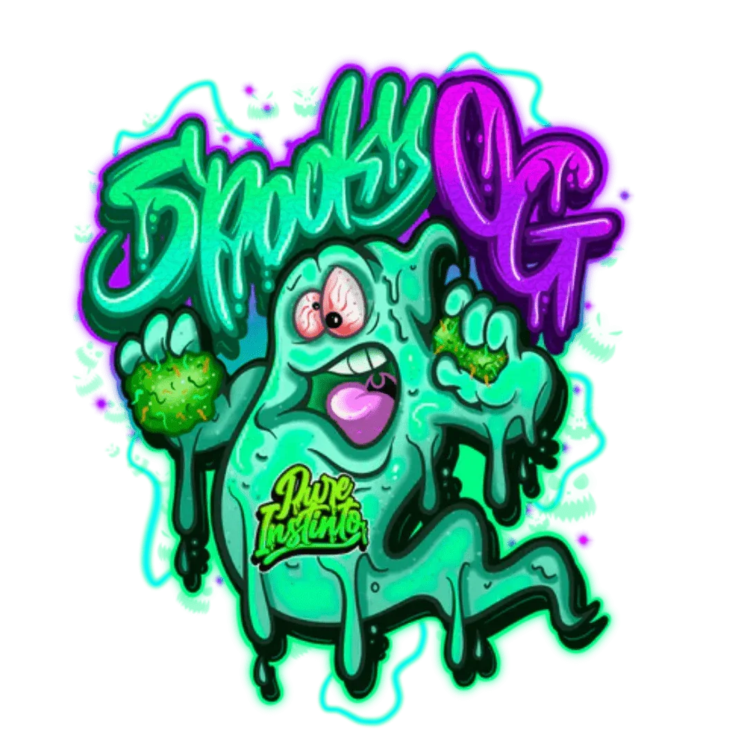 Spooky OG Pure Instinto -siemeniä esittelyssä, kuvaten premium-laadukasta genetiikkaa ja huolellista pakkausta.