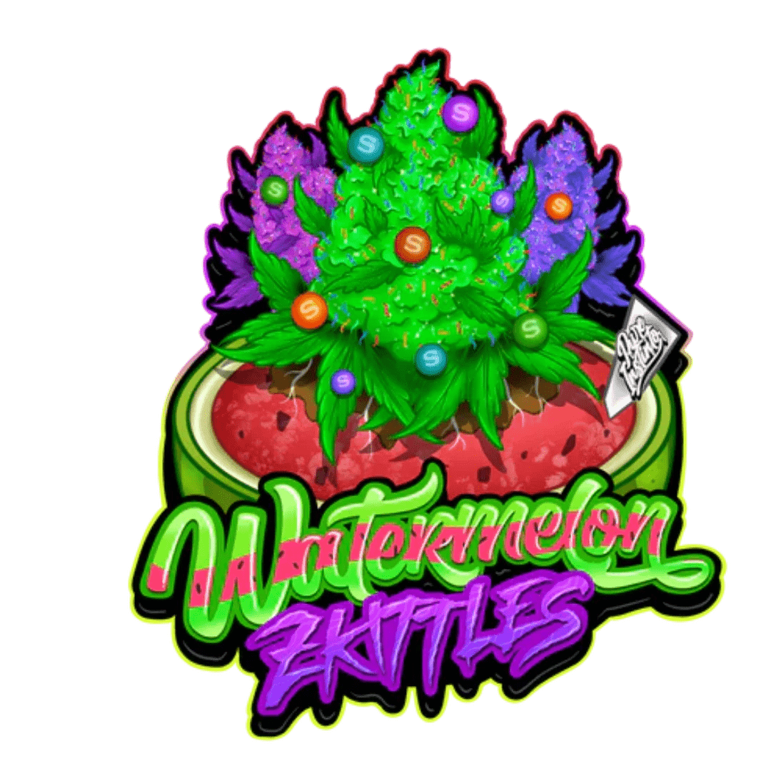 Pure Instinto Watermelon Zkittlez -siemenpakkaus ja kypsiä marjoja, korostaen lajikkeen makeaa ja hedelmäistä luonnetta.